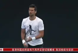 爱游戏-科维托娃与90激战利物浦分钟德约科维奇与30激战法国队分钟，底特律活塞加时末段复出首秀直接炸裂